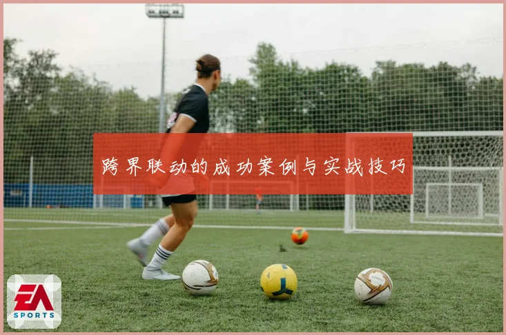 跨界联动的成功案例与实战技巧
