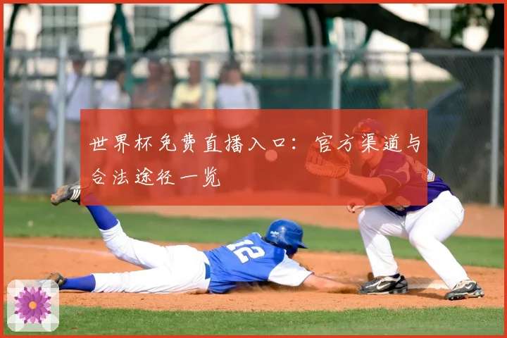 世界杯免费直播入口：官方渠道与合法途径一览