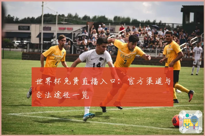 世界杯免费直播入口：官方渠道与合法途径一览